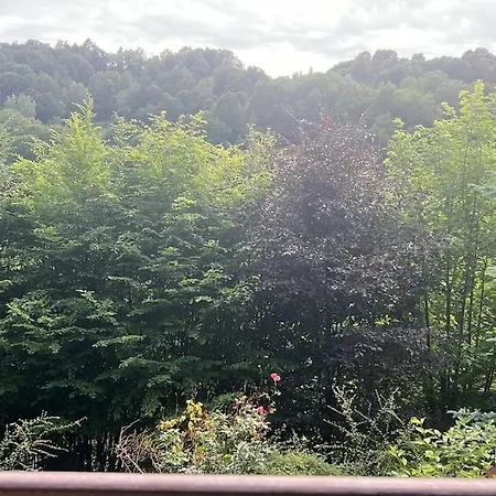 Spessart Retreat - Historic Altenbuch